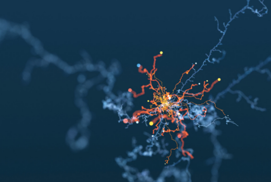Karl Freimuth speaks to MedTech Intelligence