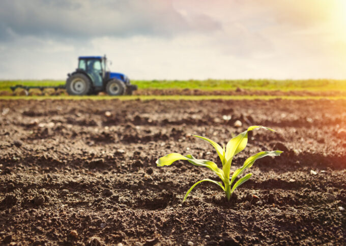 Livingstone advises the shareholders of Biototal on MVI majority investment