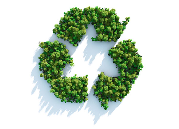 Recycling