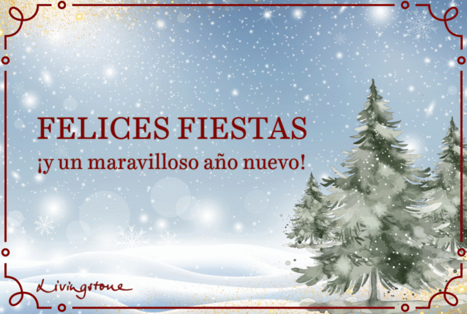 ¡Felices Fiestas y Próspero 2024!