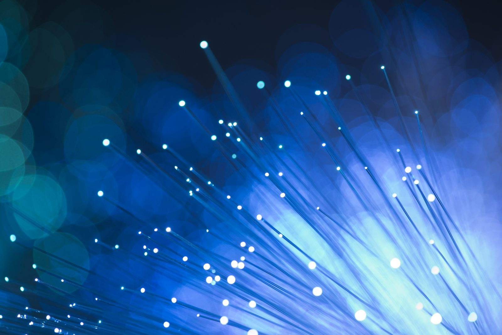 specialist manufacturer of broadband networks