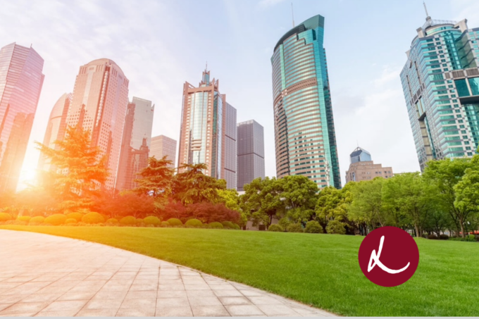 Livingstone Advises Kincannon & Reed on Recapitalization