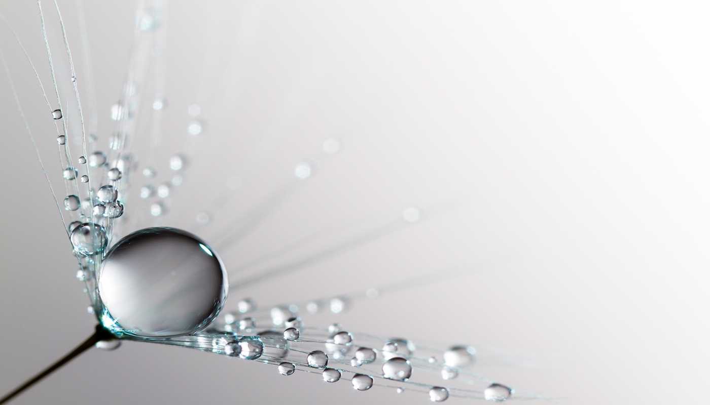 Harvey Water Softeners has been acquired by Culligan International