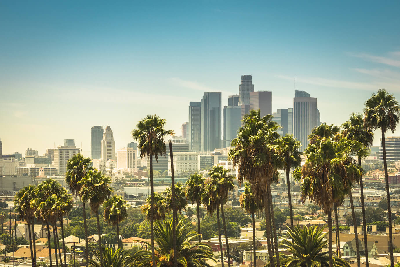 Skyline and palm trees of Los Angeles, California