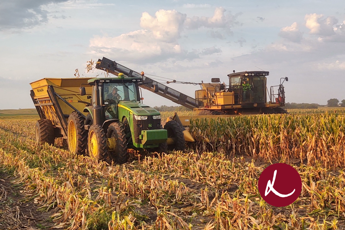 John Deer Tractor in Corn field